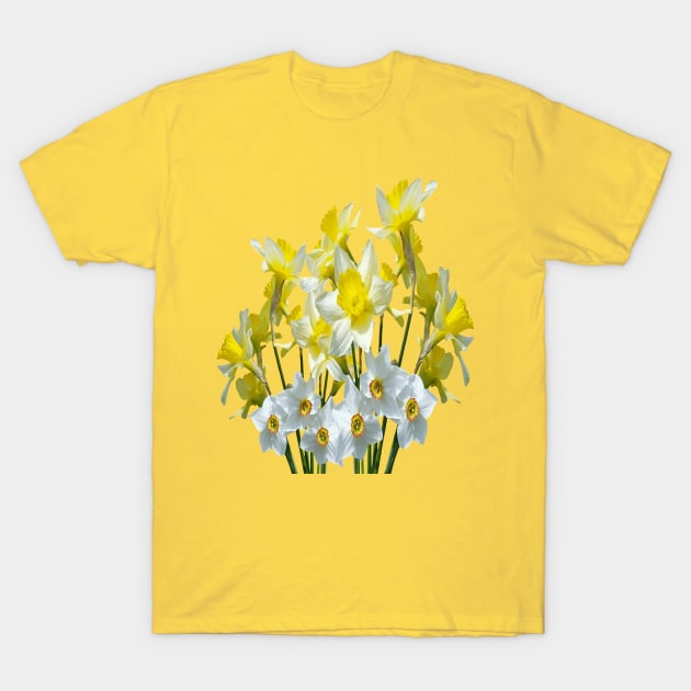 Yellow Daffodils And White Narcissi Isolated On White T-Shirt by taiche